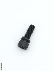 Screw