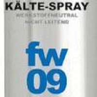 fw09 Kälte-Spray (500ml)