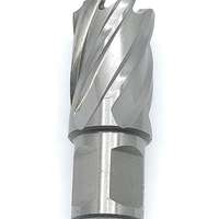 HSS Kernbohrer mit Weldonsch. 23,0 mm TiAlN-Besch. 30mm Schnitt-Tiefe