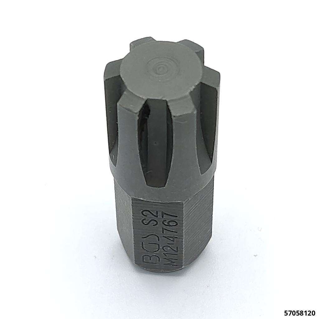 Keilzahneinsatz "RIBE" M 12 Länge 30 mm Aufnahme 10 mm