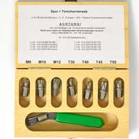 Bit Set with Ratchet in a Case