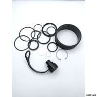 Reparatursatz für Hydraulikzylinder 20 to. 80251400 (RCH202E010)