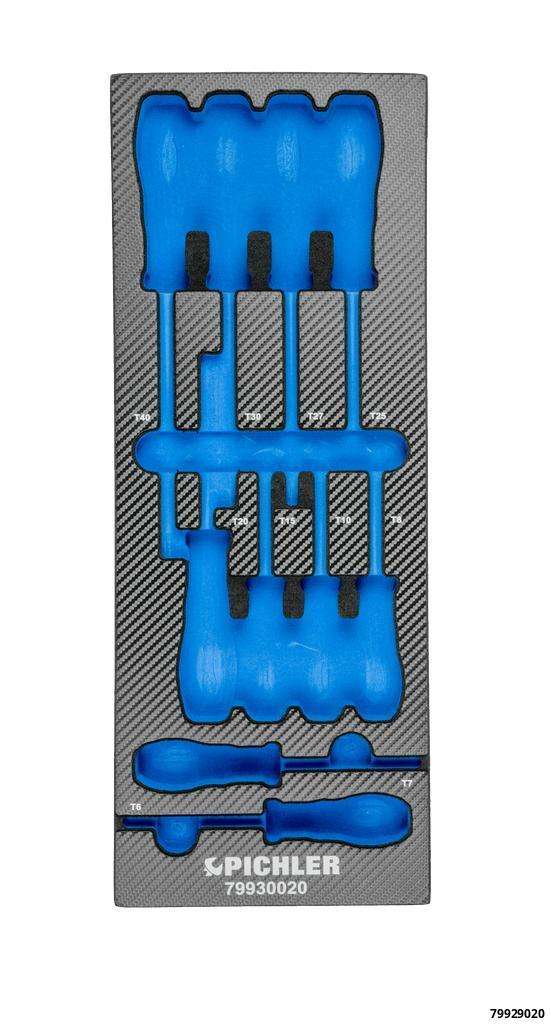 Einlage für 79930020 Schraubendreher Set, 10-tlg. TX 188x495x32 mm