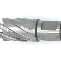 HSS Kernbohrer mit Weldonsch. 23,0 mm TiAlN-Besch. 30mm Schnitt-Tiefe