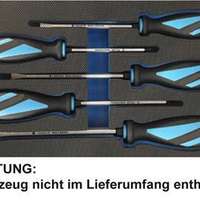 Werkstattwagen-Schaumstoffeinlage für Schraubendreher-Satz 5-tlg. Typ F/PH