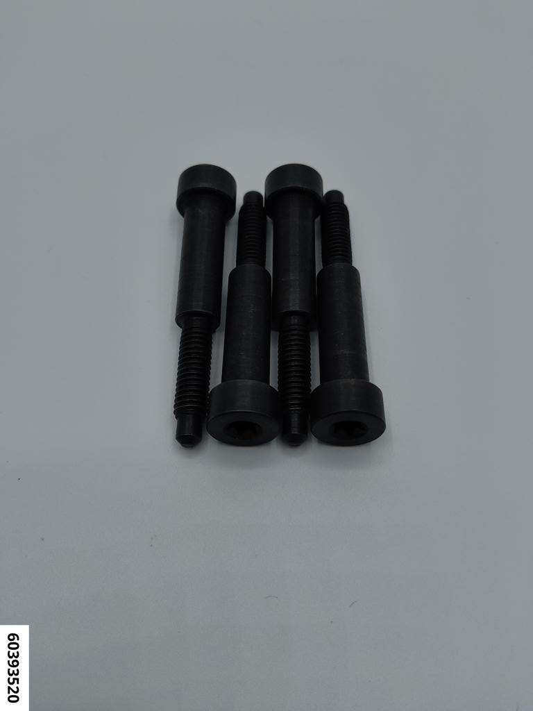 Ersatz-Spezialschrauben (VPE 4) Injektor Renault Movano, Espace, Laguna, Master