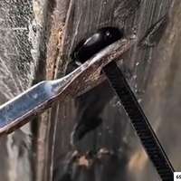 T-clip cable ties, 100 pcs.