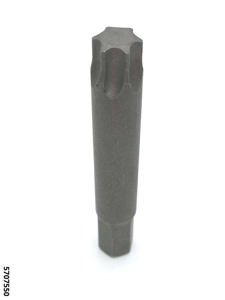 Torxeinsatz ohne Bohrung Aufnahme 10 mm TX 55 x 75