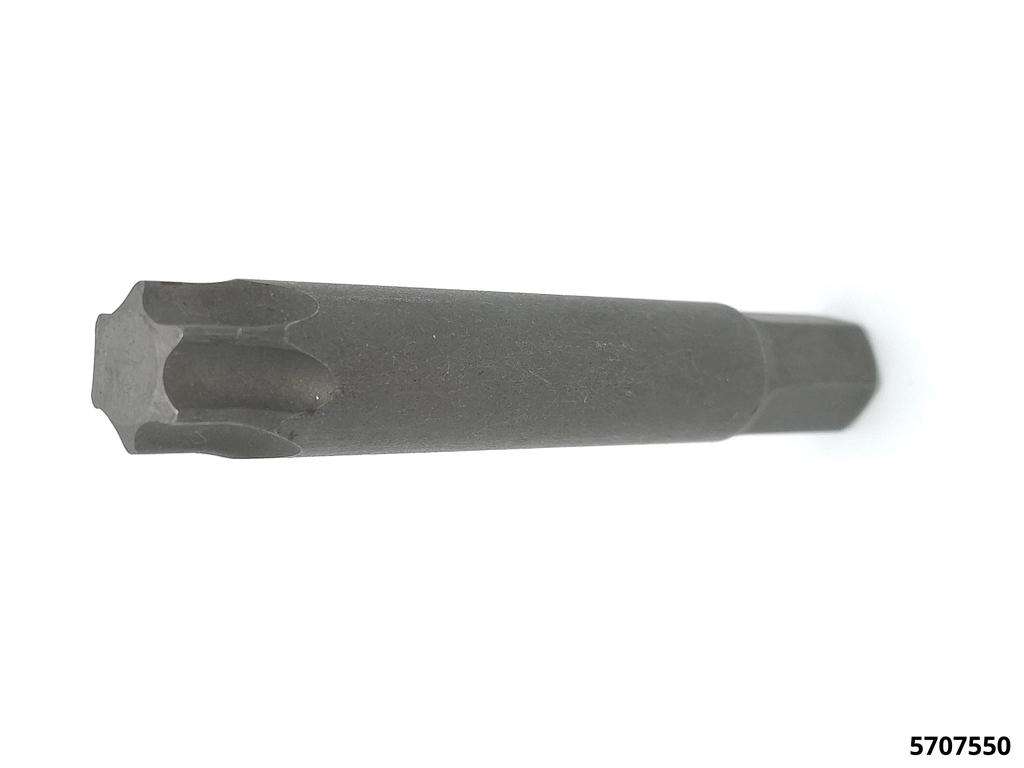 Torxeinsatz ohne Bohrung Aufnahme 10 mm TX 55 x 75