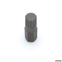 Vielzahneinsatz XZN Aufn.10 mm  M 10 x 30