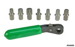 Bit Set with Ratchet in a Case