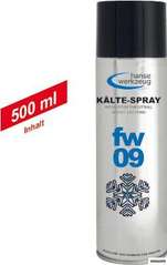 fw09 Kälte-Spray (500ml)