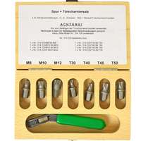 Bit Set with Ratchet in a Case