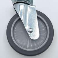 Ersatzrolle m. Befestigung f. Dutchbone