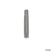 Vielzahneinsatz XZN Aufn.10 mm  M 12 x 75