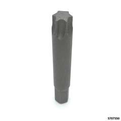 Torxeinsatz ohne Bohrung Aufnahme 10 mm TX 55 x 75